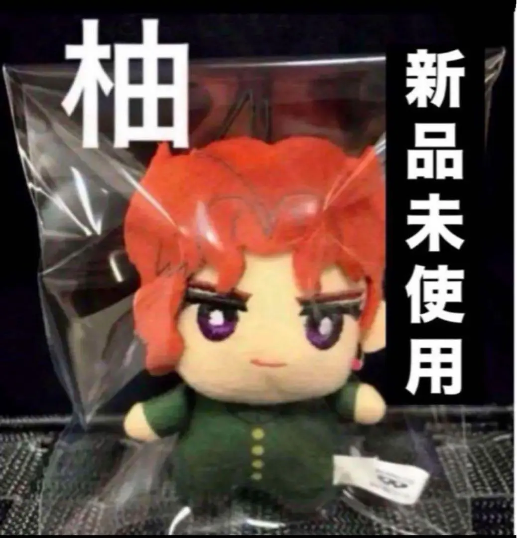 2026年最新】ちみっともぬい 花京院典明の人気アイテム - メルカリ