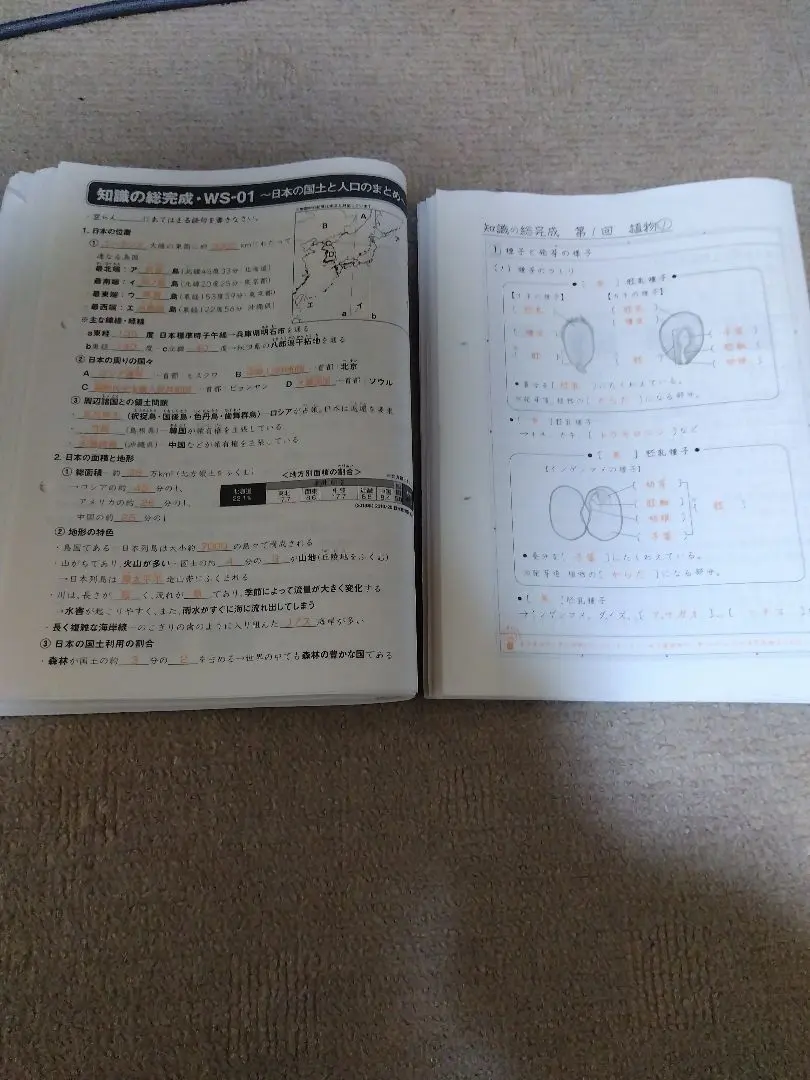 2026年最新】サピックス 社会 知識の総完成の人気アイテム - メルカリ