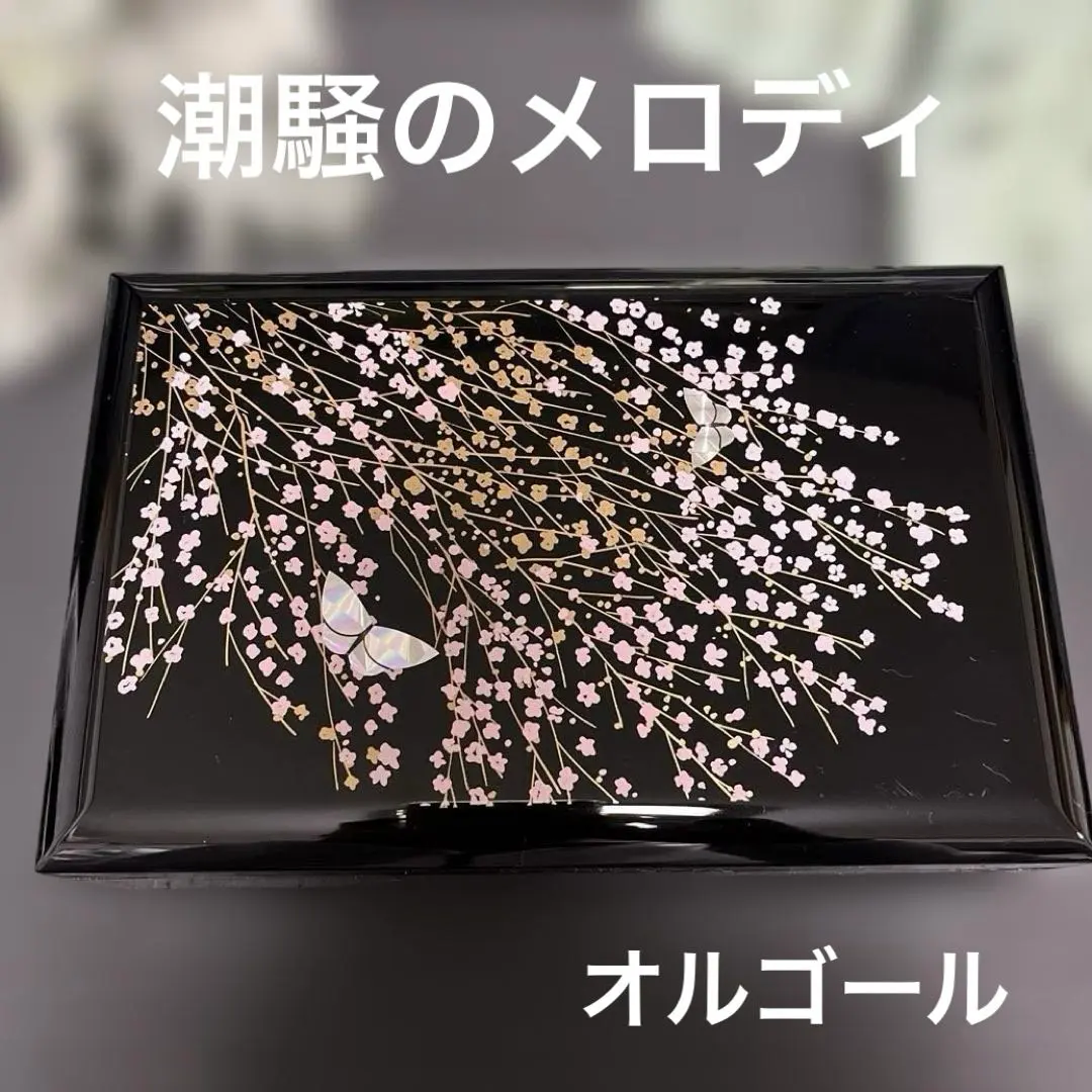 2026年最新】オルゴール 共鳴箱の人気アイテム - メルカリ