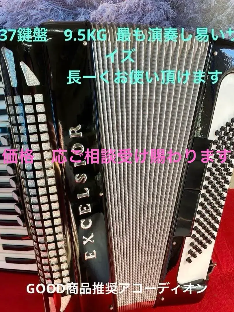 2026年最新】アコーディオン excelsiorの人気アイテム - メルカリ