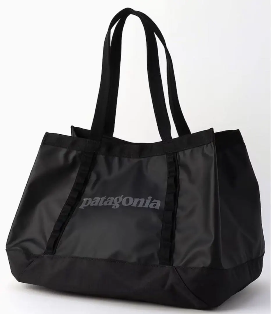 2026年最新】パタゴニア ライトウェイト ブラックホール ギア トートの