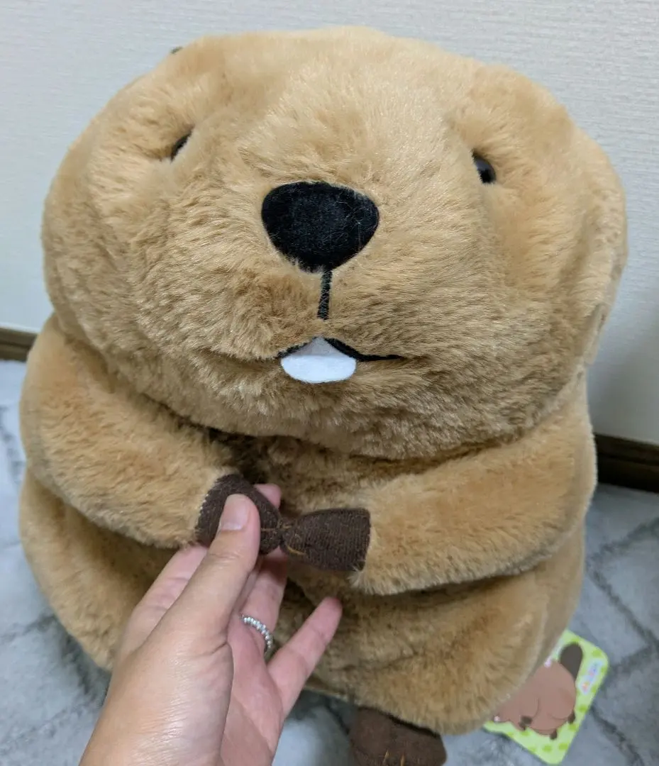 2026年最新】むっちりビーバーたっちウルトラBIGの人気アイテム - メルカリ