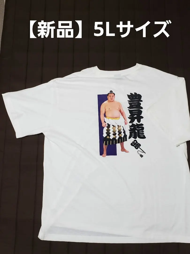 2026年最新】横綱 tシャツの人気アイテム - メルカリ