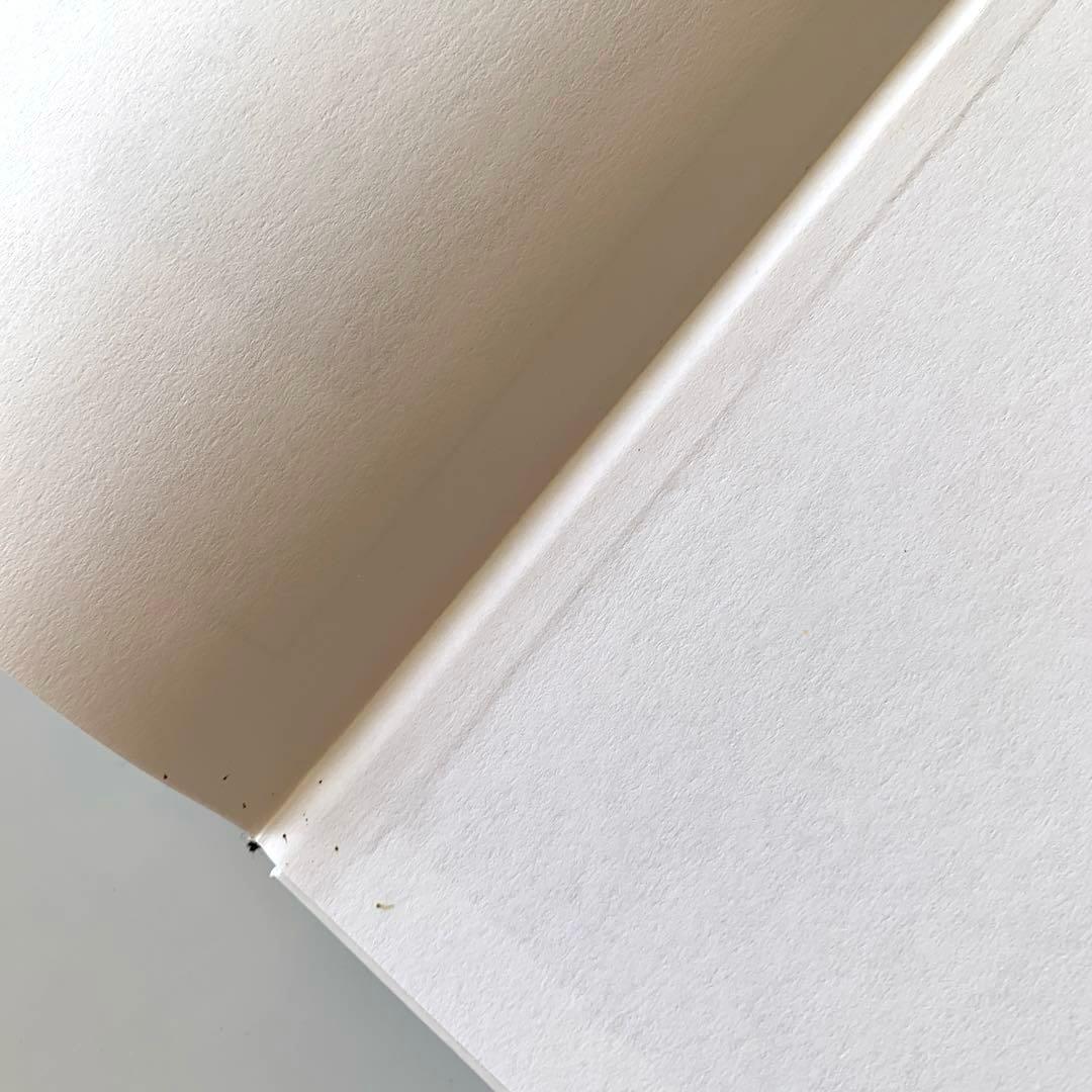 インド亜大陸のカメ ドイツ語版 Die Schildkröten des‥ - メルカリ