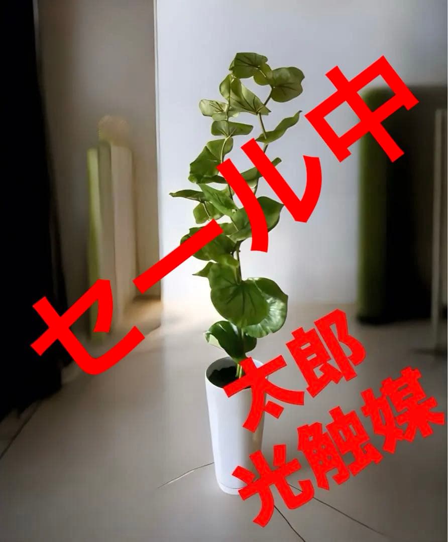 光触媒　人工観葉植物　ウォールグ リーン　フェイクグリーン　シーグレープ100 光触媒 光の楽園 シーグレープ1.2m【インテリア フェイクグリーン 人工