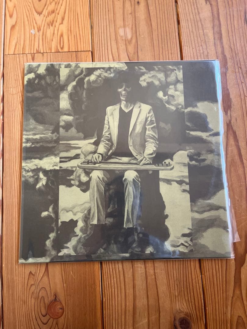 坂本慎太郎　Let's Dance Raw ナマで踊ろう　レコード 坂本慎太郎（shintaro Sakamoto） - ナマで踊ろう（Let's Dance Raw