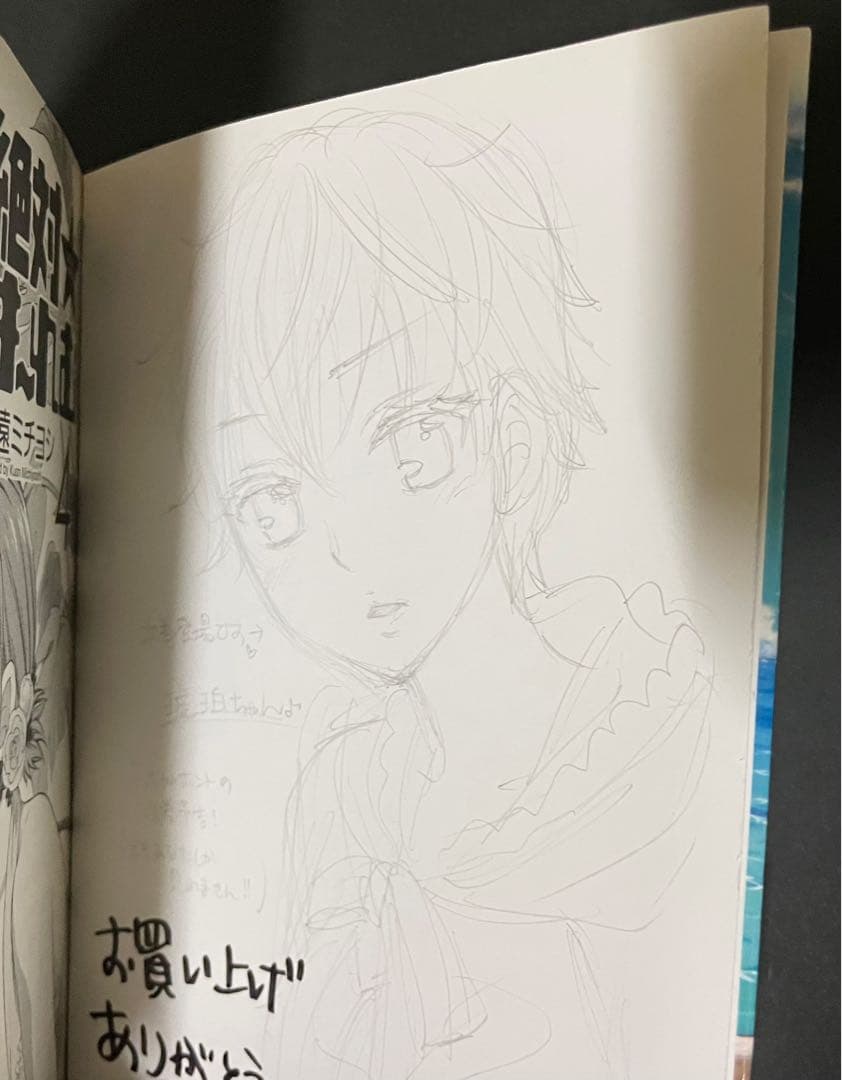 絶対★は〜れむ / 久遠ミチヨシ・イラストサイン入り初版本