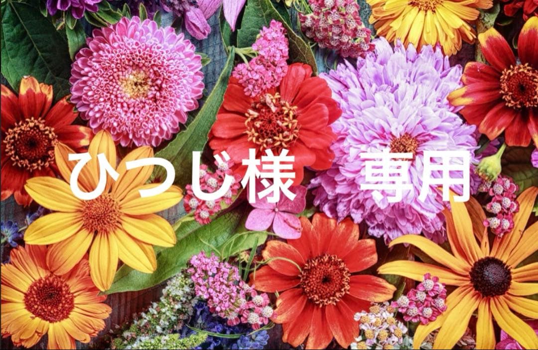 ひつじ BU62320_0099ead8a9874edd8525cf