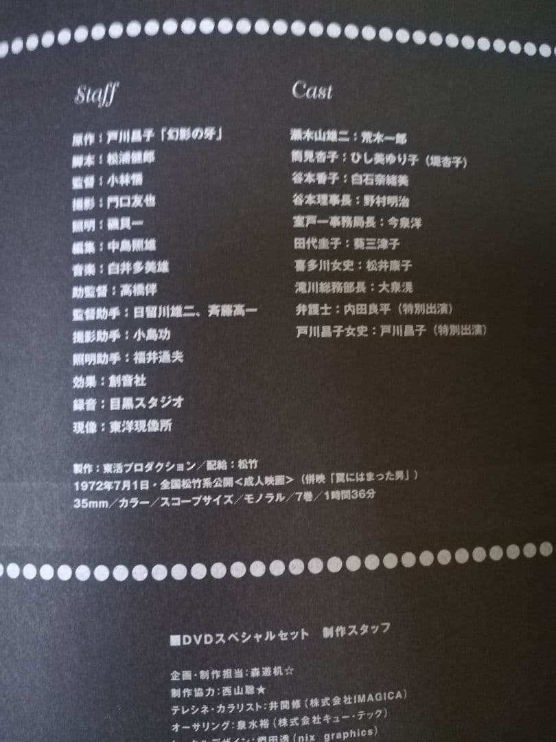 限定版/鏡の中の野心 DVD ひし美ゆり子　☆大判ポスターおまけ付き