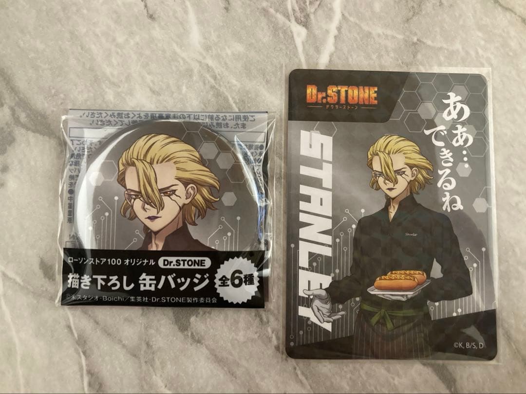 Dr.STONE スタンリー 缶バッジ カード ローソン100 - メルカリ