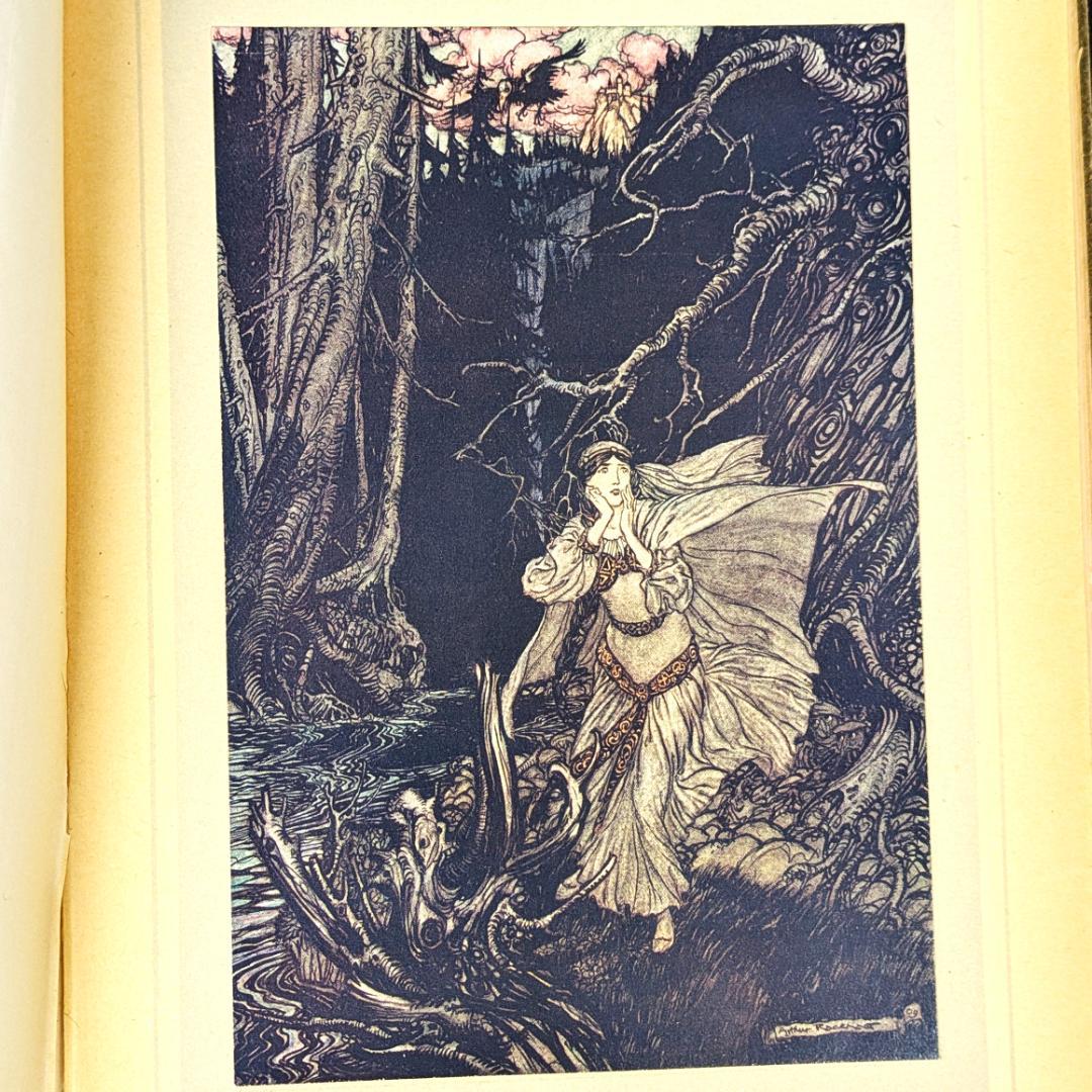 希少な初版 アーサー・ラッカム挿画本『ウンディーネ』1909年 全図15枚