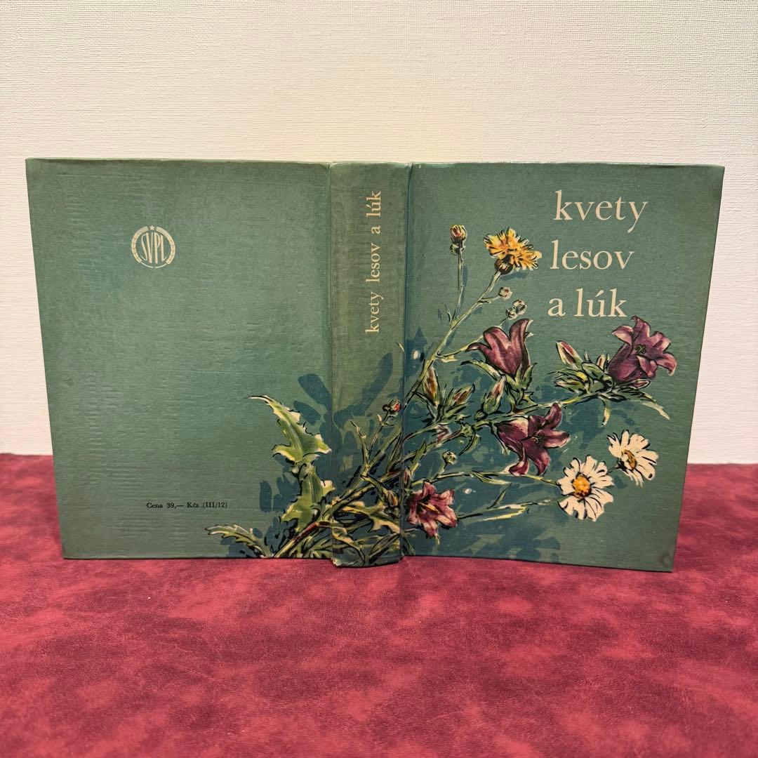 25②1965年チェコ植物図鑑 ジャンクジャーナル ボタンニカル 洋書古書