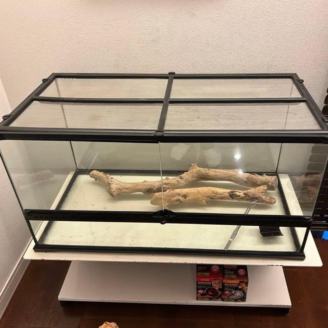 温室・飼育ケース kuroganeotome Amazon | Ghims 爬虫類 ケージ 飼育ケース 温度湿度計付き 昆虫飼 透明