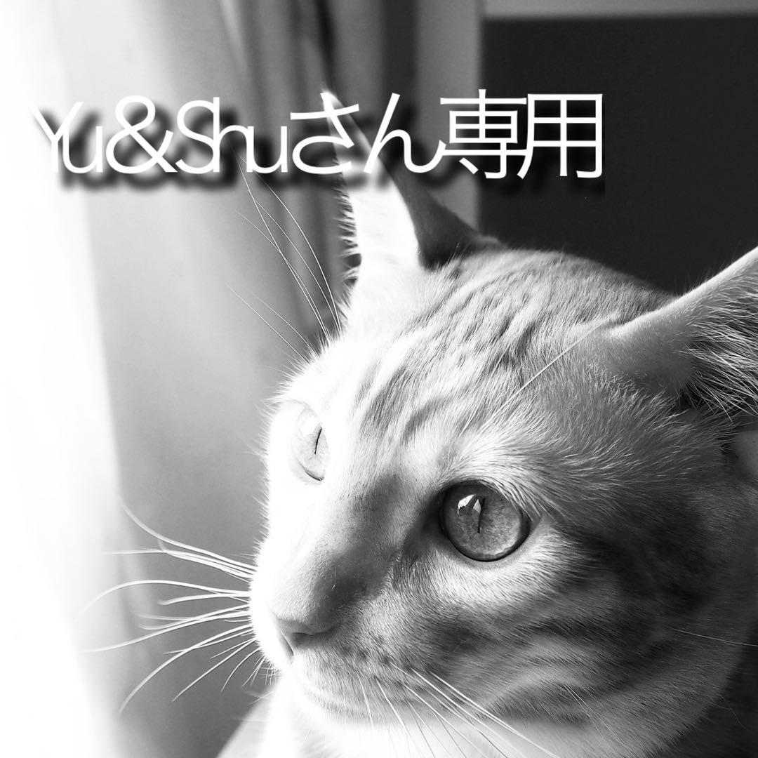 箱無し【大容量200g】ビーグレン b.glen クレイウォッシュ 3本セット 楽天市場】【楽天総合ランキング1位獲得 | 公式ショップ】ビーグレン