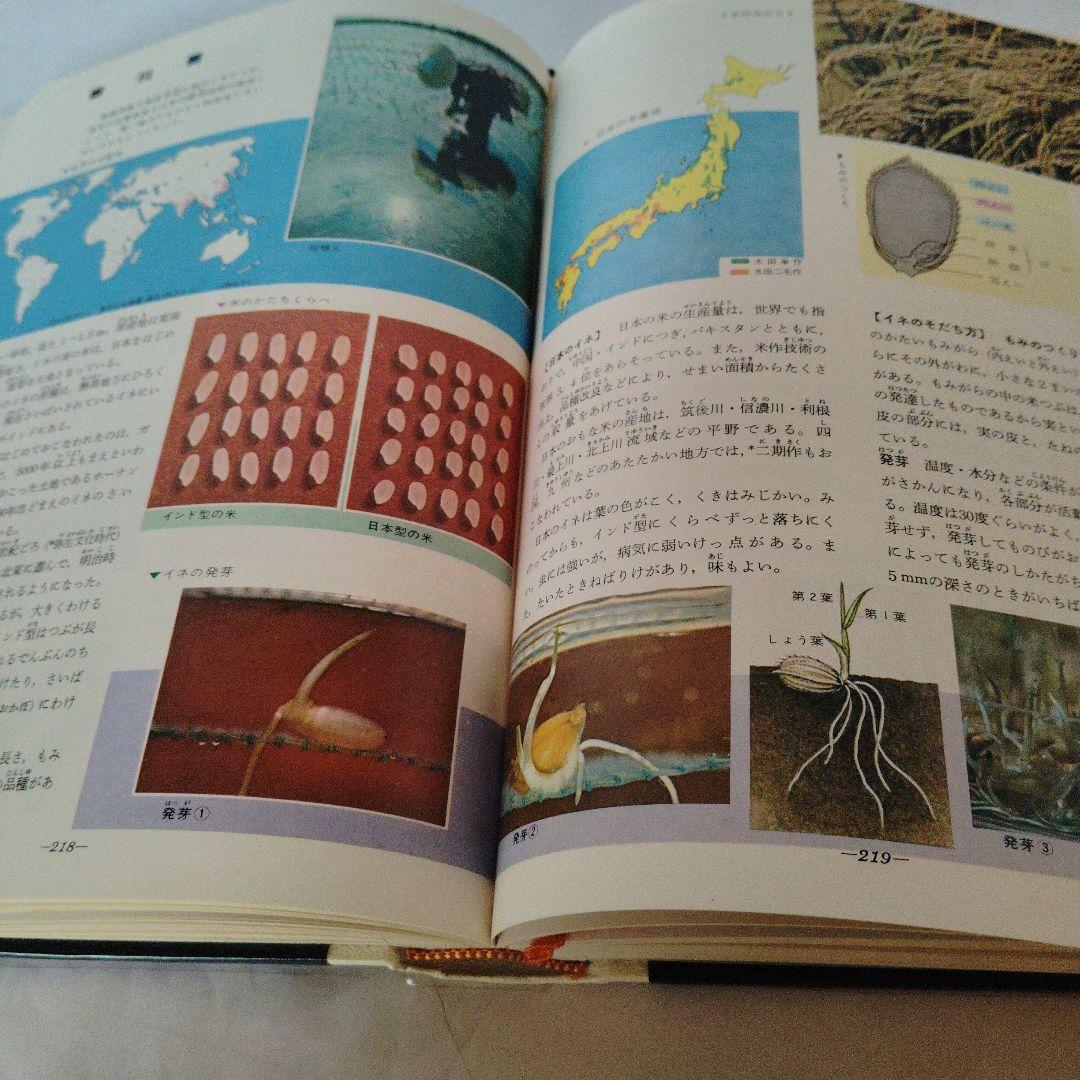 昭和レトロ 学研 原色学習図解百科 全8巻 - メルカリ