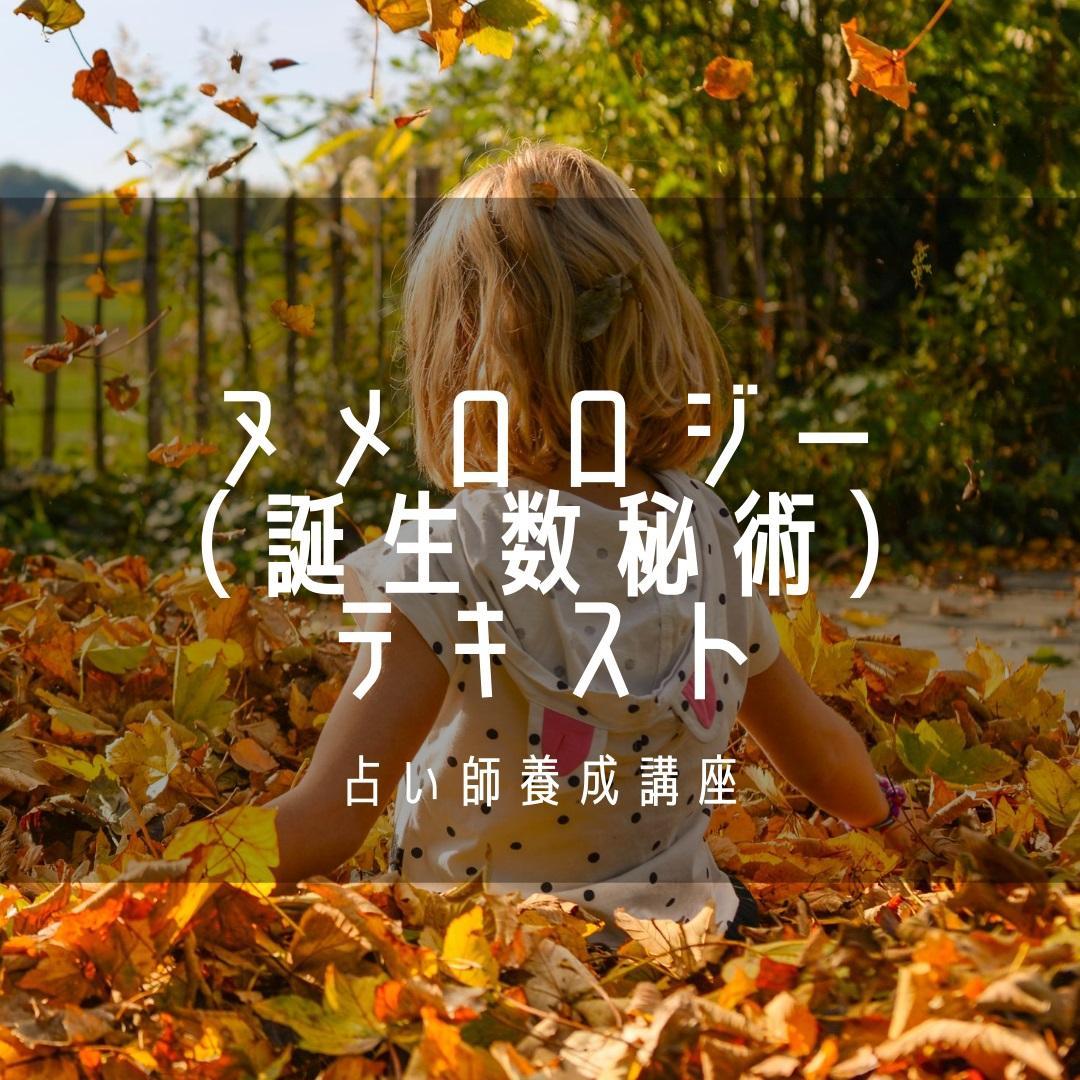 ★内なる光を燃やし、スピリチュアルリーダーへの旅を始めよう！上級コース非売品★