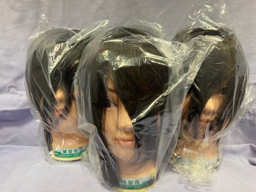 美容師実技試験対応　練習用　ウィッグ3点 カットウィッグ 美容師 マイスター 国家試験 練習 美容師国家試験 練習