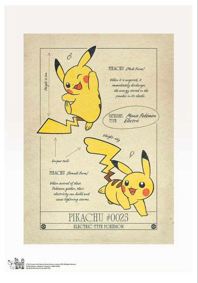 限定品】ポケモン30周年 ロンドン自然史博物館コラボ A3ポスター