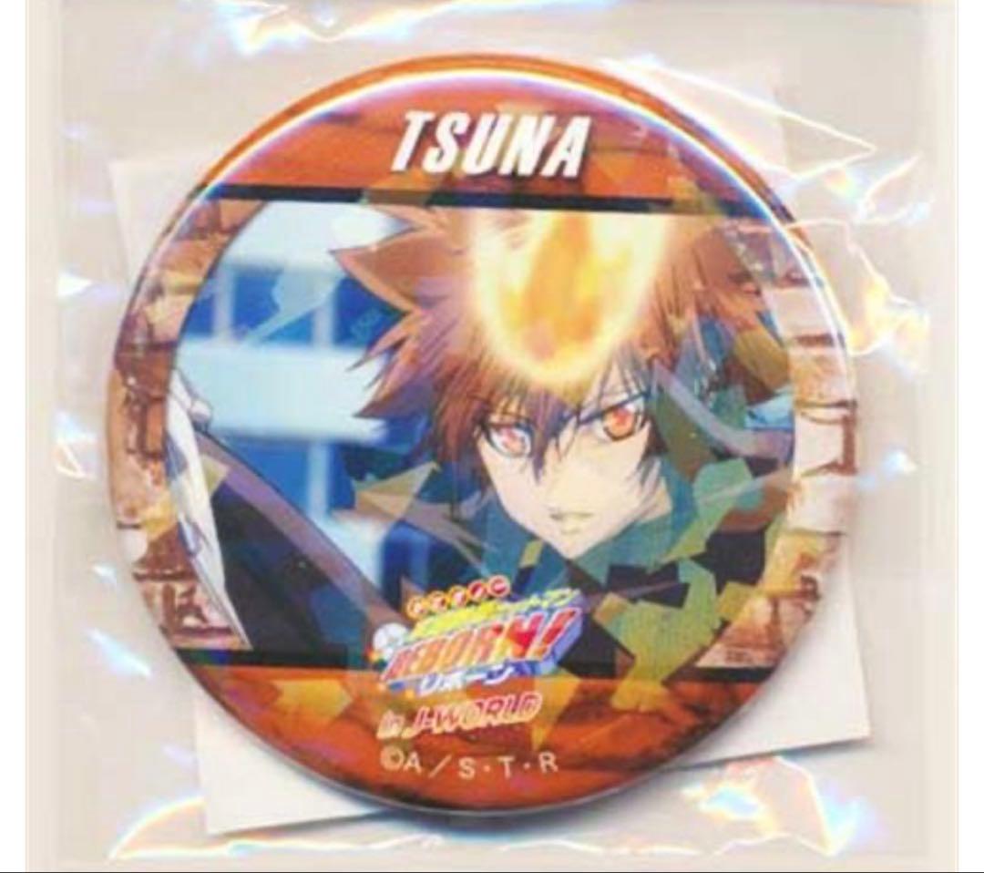 家庭教師ヒットマンREBORN! 56mmホログラム缶バッジ 沢田綱吉 新品 AMNIBUS-日常使いできるアニメグッズの通販サイト-