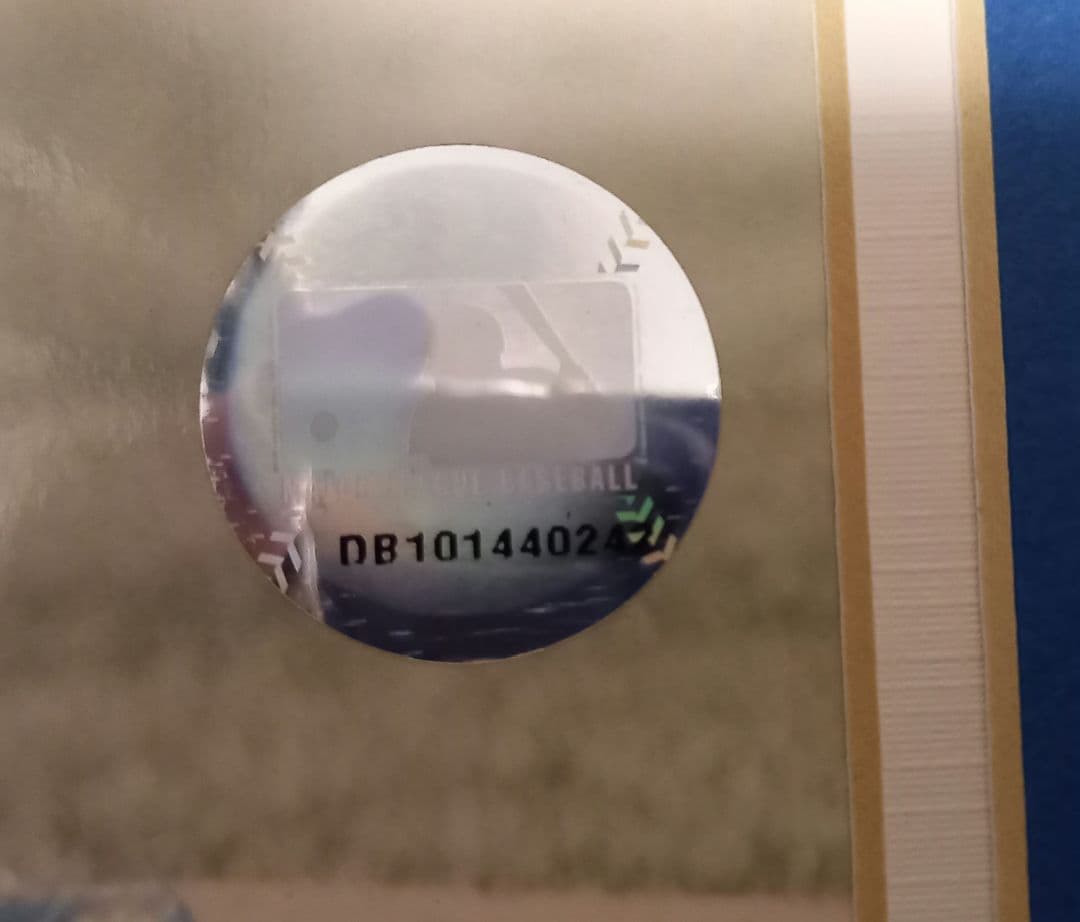 MLB、直筆サイン、石井一久、ルーキーイヤー記念パネル、限定商品