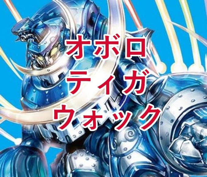 超CS入賞】5cオボロティガウォックデッキ デュエマ D 1110 - メルカリ