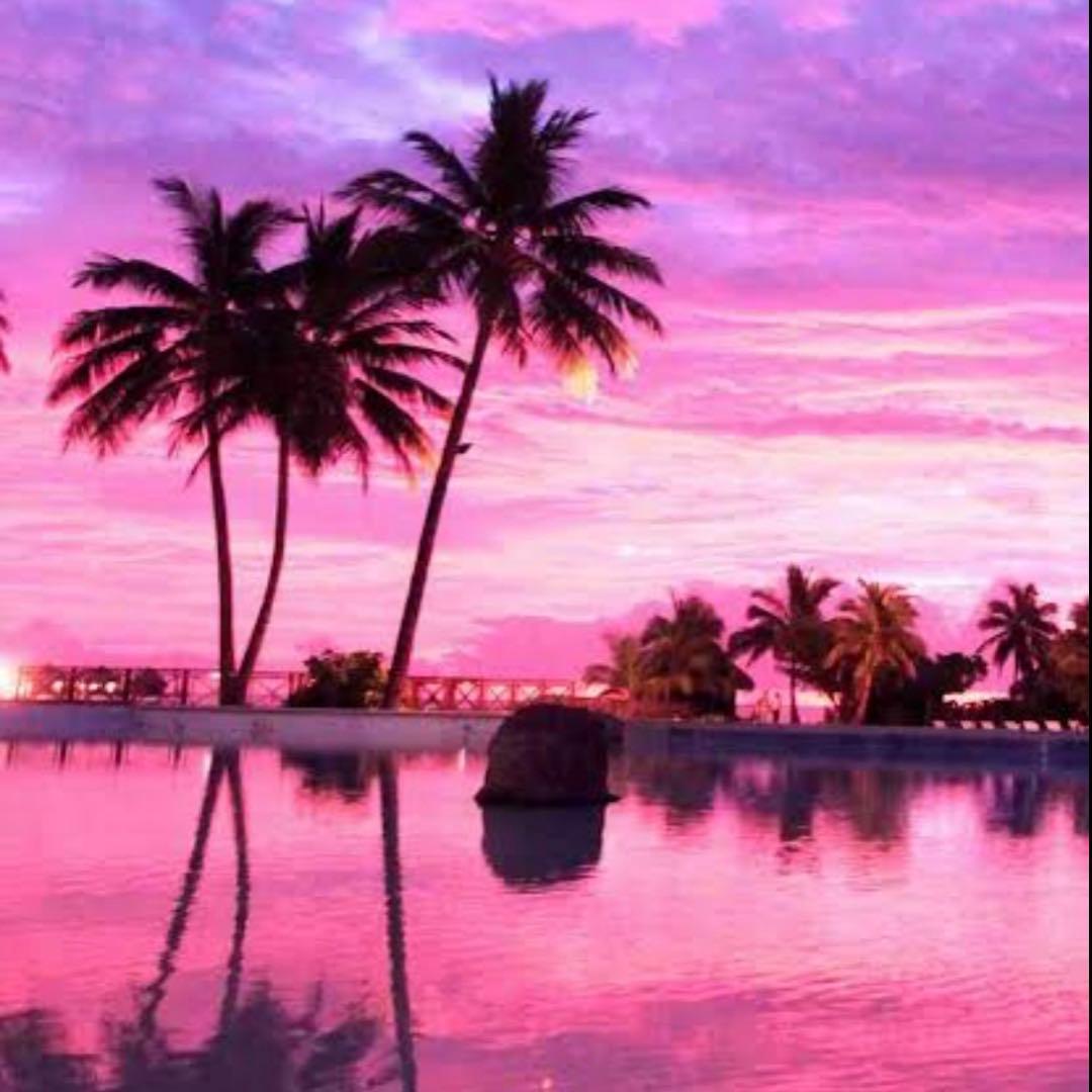 えむえむ えむえむっ！ | 番組 | AT-X