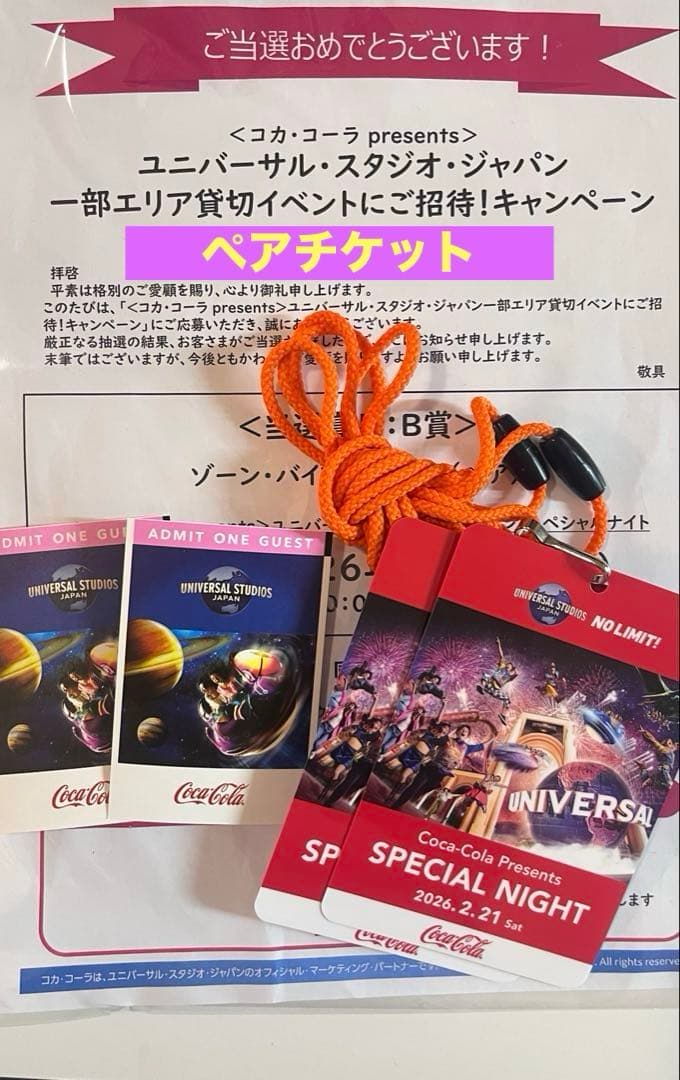 2026/2/21ユニバーサル・スタジオ・ジャパン 貸し切りナイト ペア