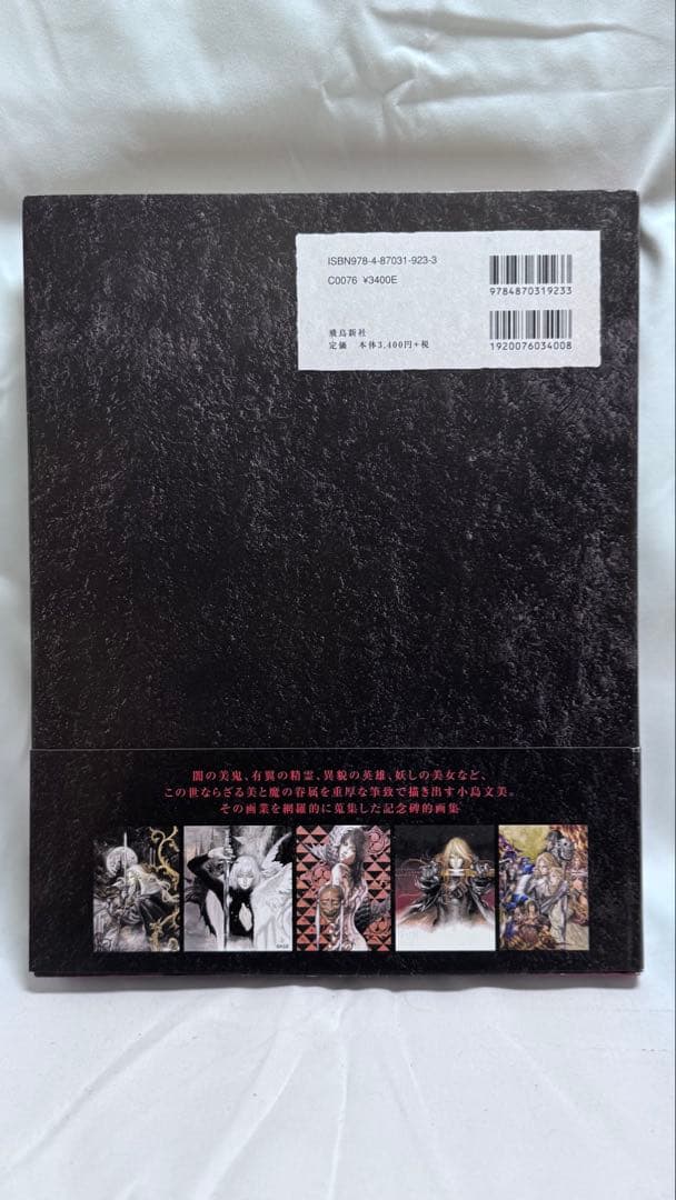 [美品] 小島文美 画集 -Santa Lilio Sangre- 緋いユリ