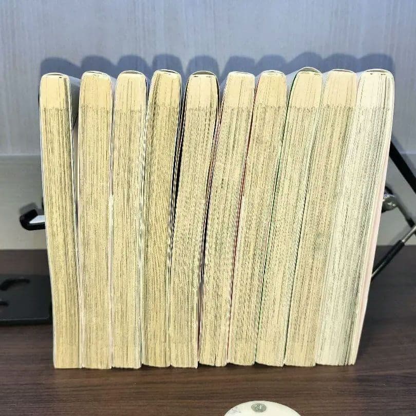 定価￥１２，０００ 美品 恋は雨上がりのように 完結全巻セット 10冊