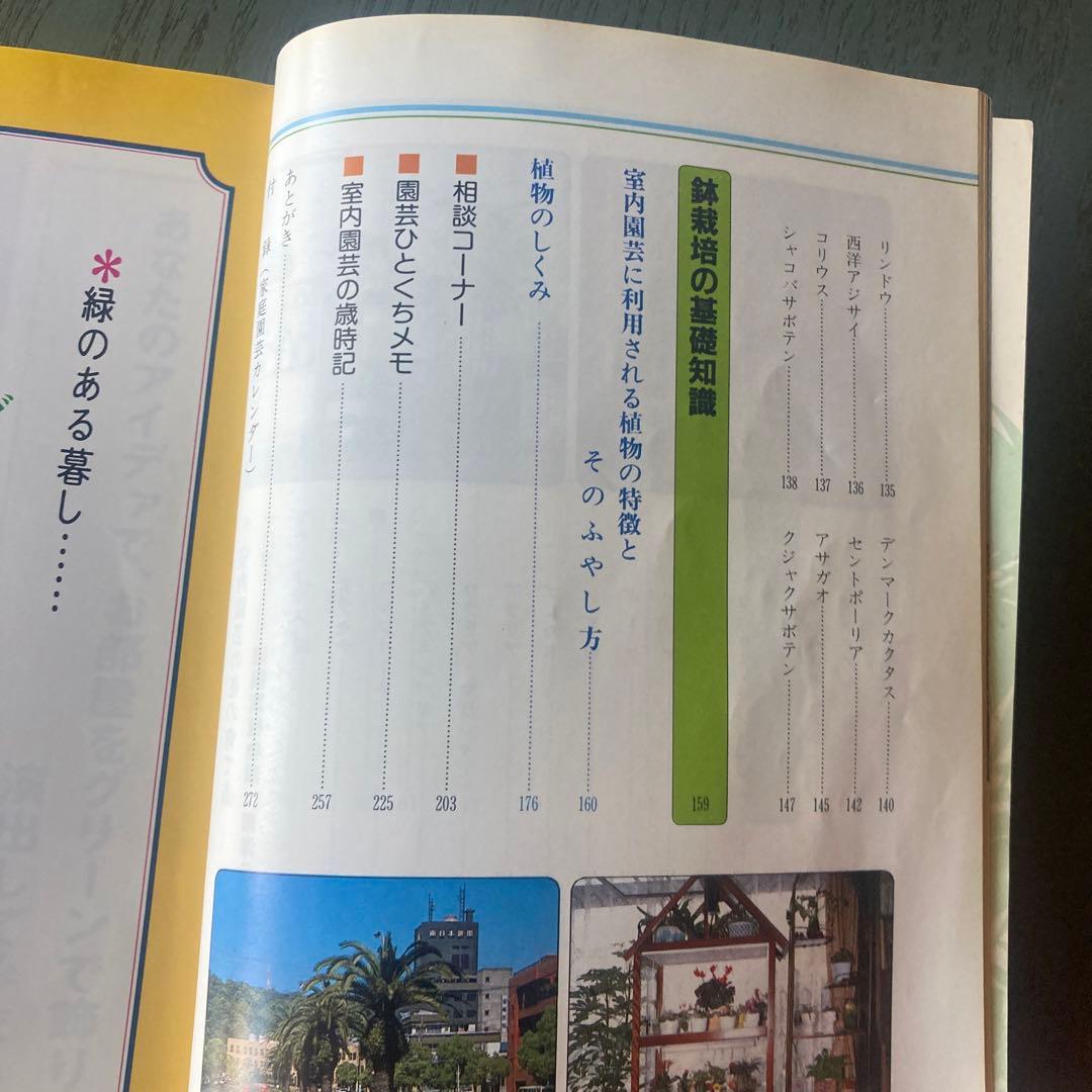 鹿児島の室内園芸 新しい園芸の楽しみ方 (鹿児島の園芸百科シリーズ