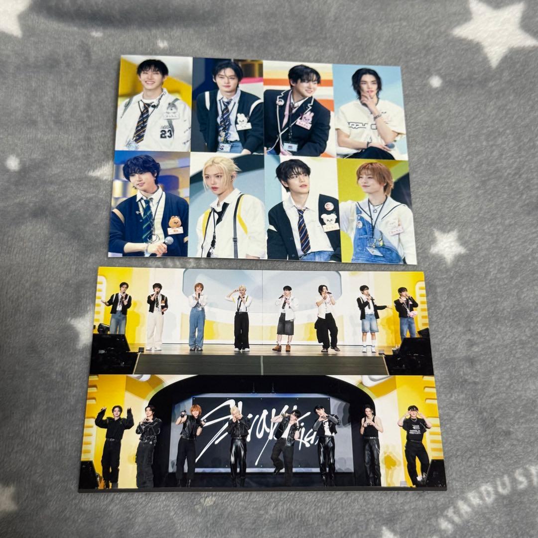 SKZ TOY WORLD 完全生産限定版 通常盤 - メルカリ