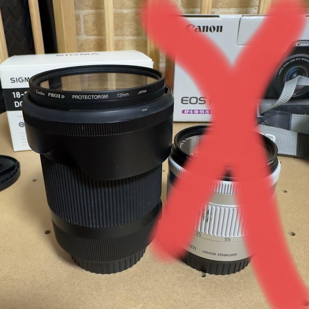 SIGMA 18-300mm F3.5-6.3 DC MACRO ズームレンズ