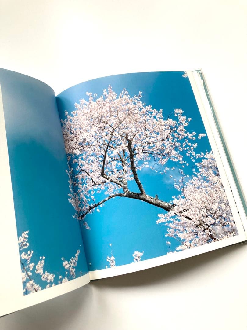 鈴木理策 写真集「HYSTERIC EIGHT 」 吉野山 桜 風景 青空 花 - メルカリ