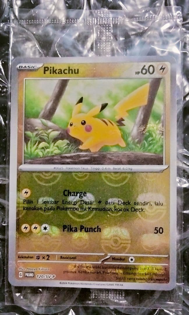 秘蔵 未開封 大会 優勝商品 ピカチュウ マスターボール プロモ 英語