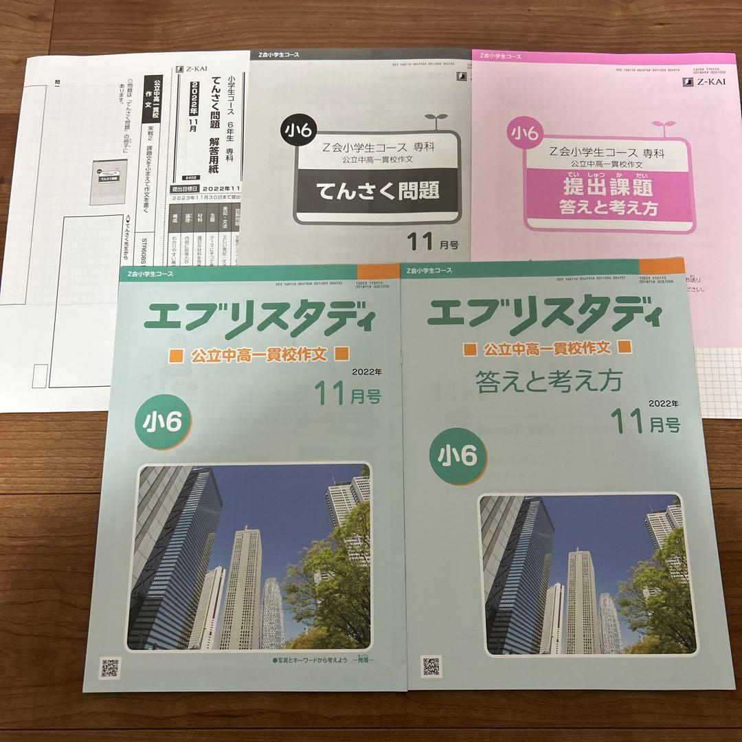 Z会 エブリスタディ 公立中高一貫校 作文 小6 2022年 4〜12月 一年分