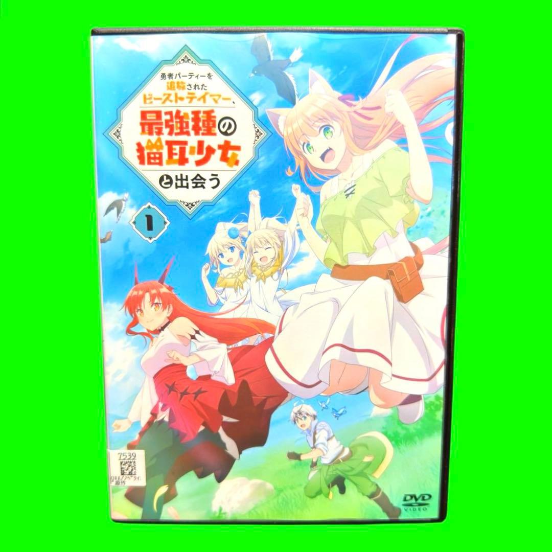 勇者パーティーを追放されたビーストテイマー、最強種の猫耳少女と出会う 全巻セット 81LViFQcs5L._AC_UL210_SR210,