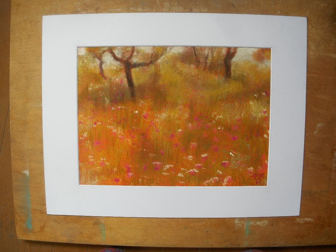 レイジェスのけし畑 お子様連れも、カップルも、カメラ好きも！パッと広がる花畑が楽しめる