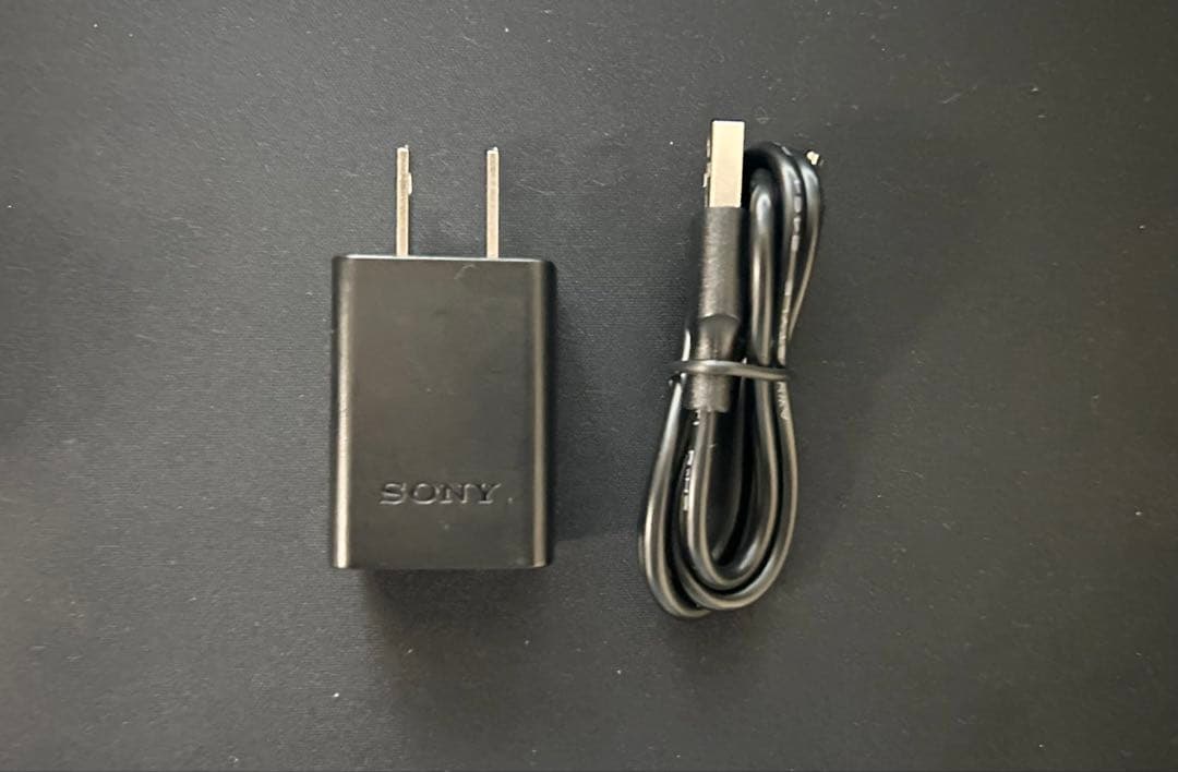 SONY CyberShot RX100V《DSC-RX100M5A》