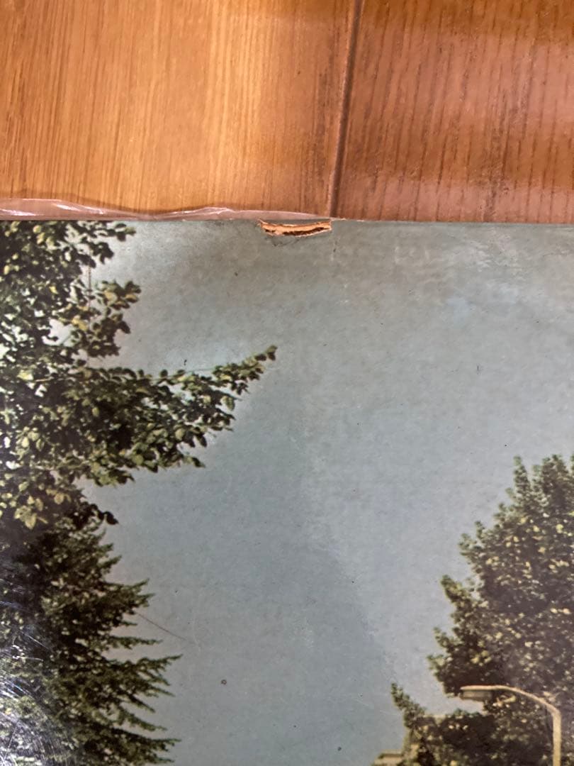 稀少スペイン初回Her無Abbey Road Beatlesビートルズレコード - メルカリ