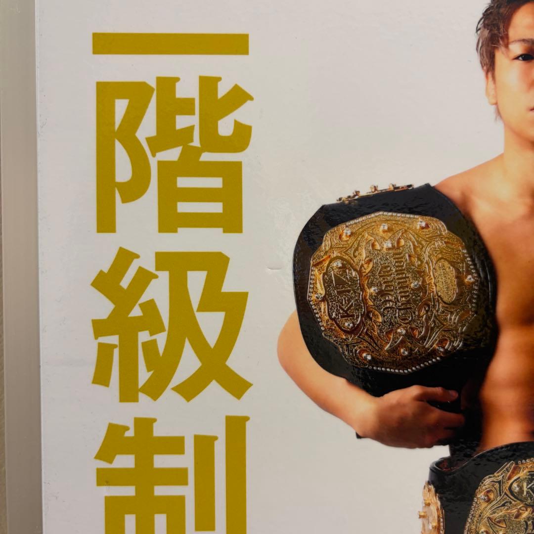 武尊 3階級制覇 直筆サインパネル - メルカリ