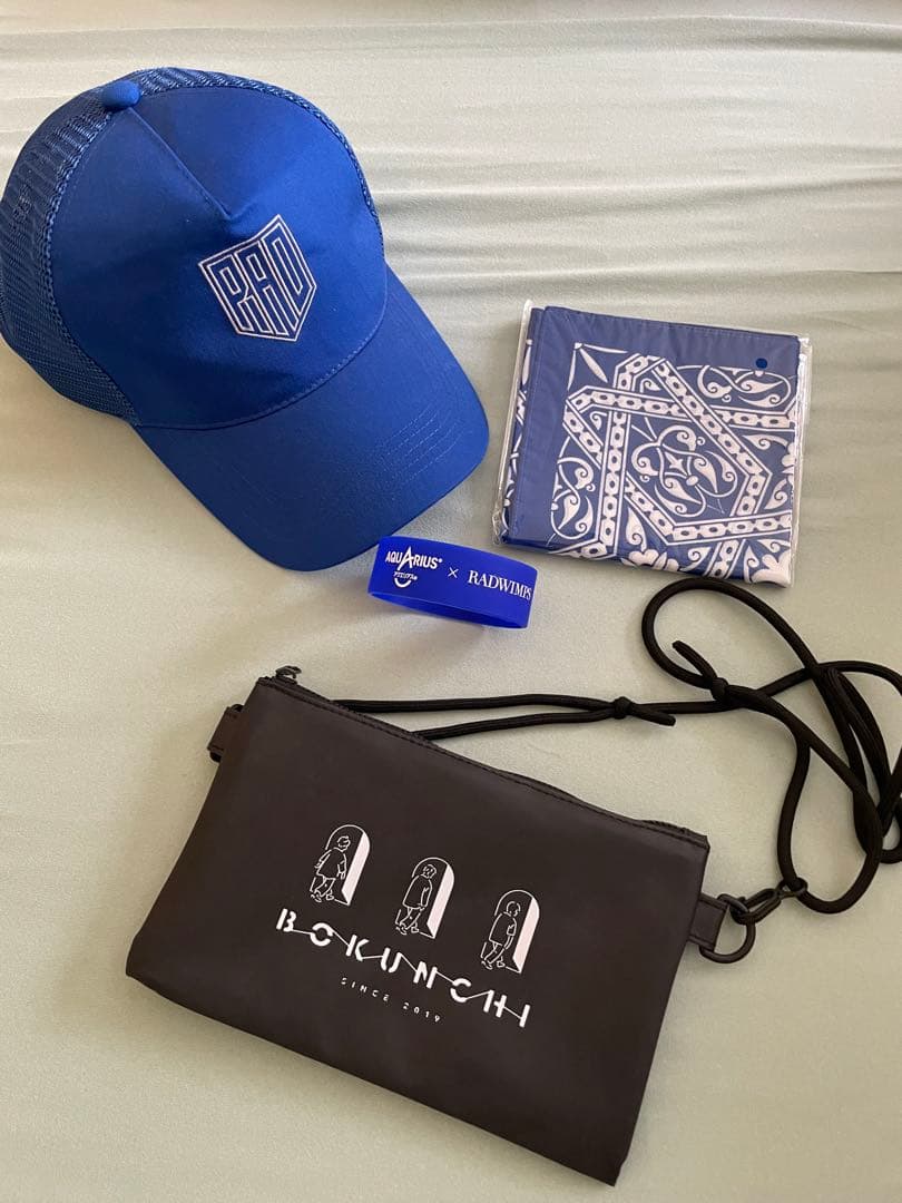 RADWIMPS 20thツアーグッズ他ツアーグッズ詰め合わせ - メルカリ