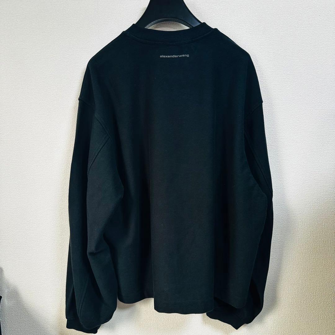 登坂広臣着用ALEXANDER WANG Beefy Muscle スウェット - メルカリ