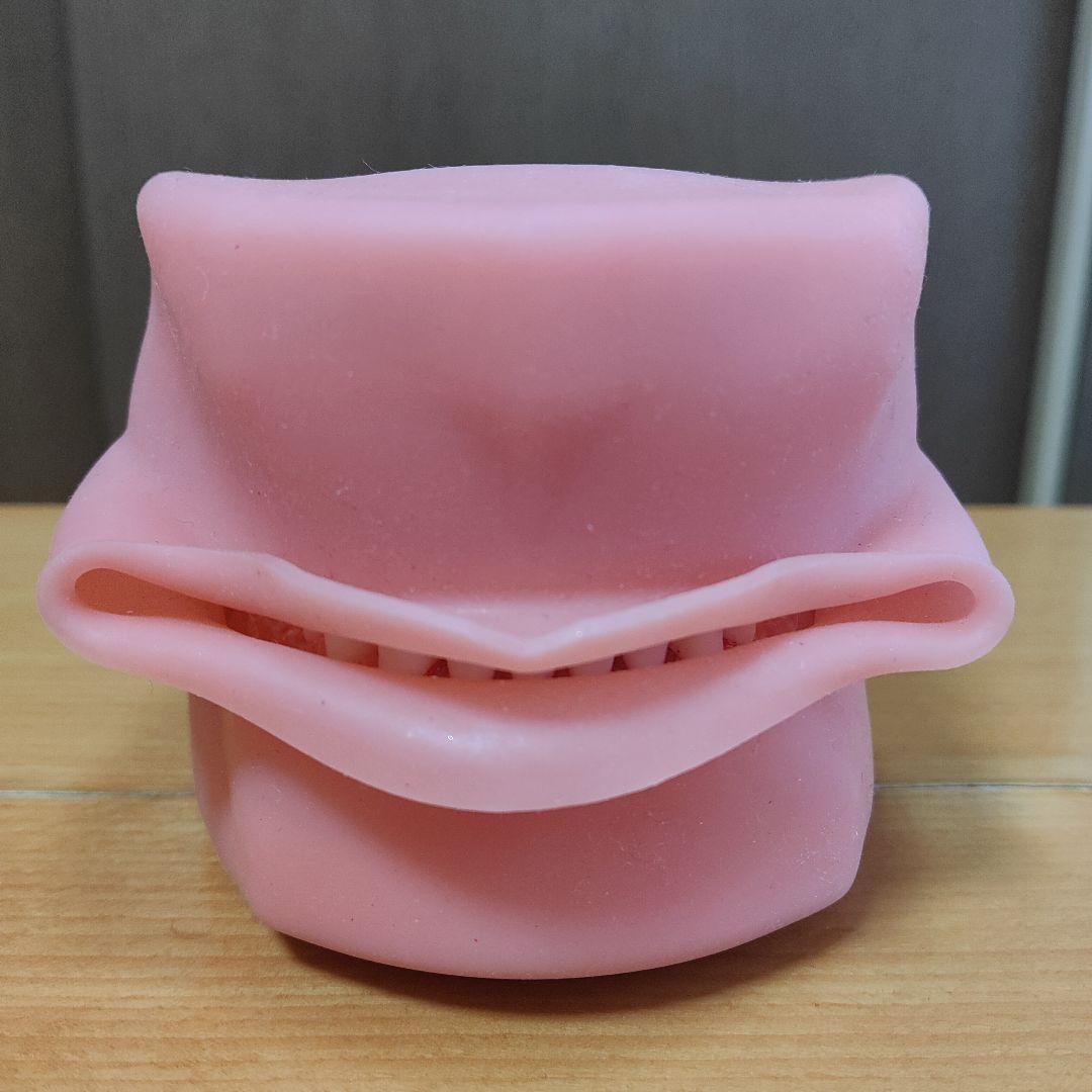 歯の模型/歯科衛生士 複製歯牙着脱模型 [PE-ANA009(I21D-400C)]｜株式会社ニッシン｜歯科