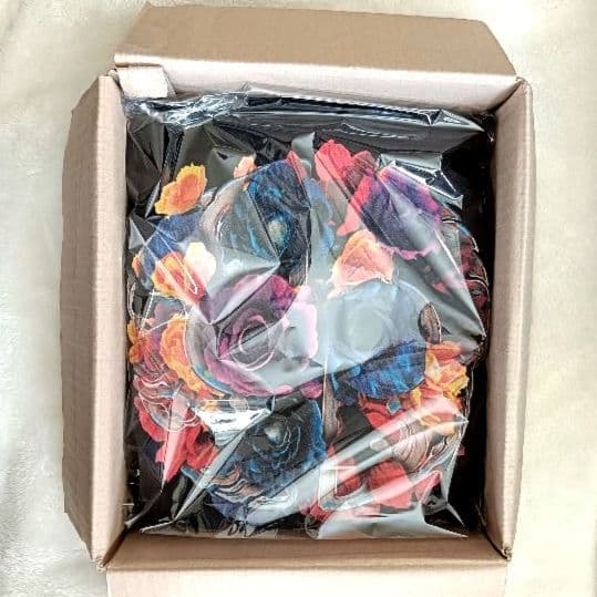 龍宮城 裏島 フーディー Foodie サイズ：2