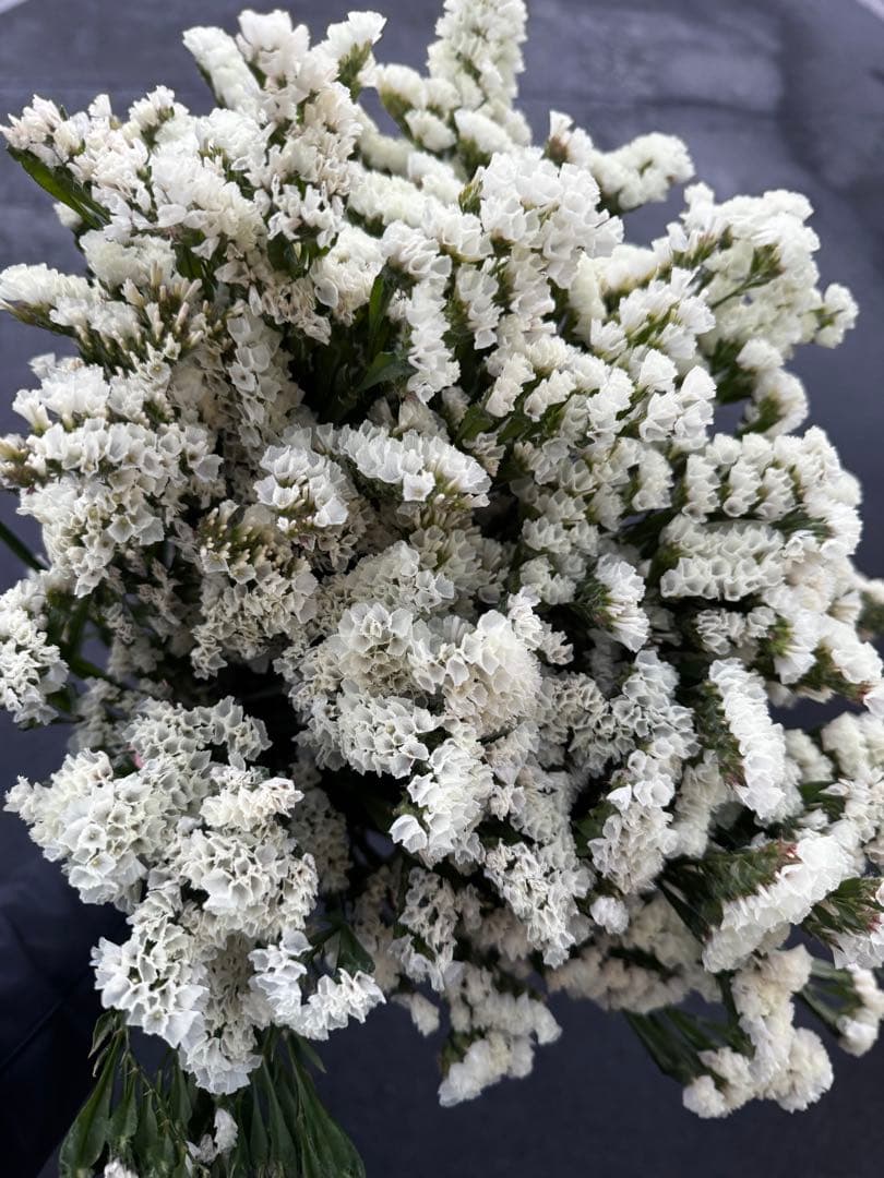 ❤️アトリエ＊リトルジェム❤️様 リクエスト 3点 まとめ商品 CRAFTING】「リトルミイフェア2026」手芸グッズリリース予定