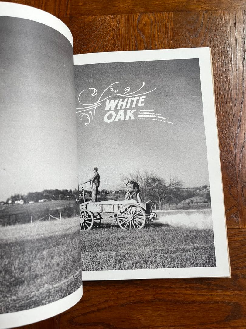 レア LVC 2012SS ルックブック カタログ 写真集