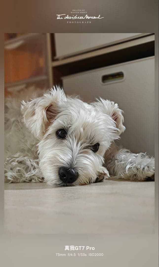 realme GT7 Pro 使用感少/BT100