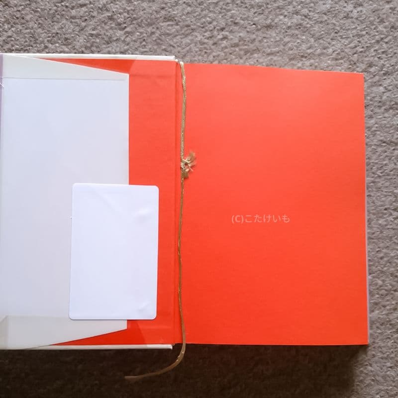 宝石 ジェモロジー 崎川顕行著 訳あり注意 クロネコメール便にて発送