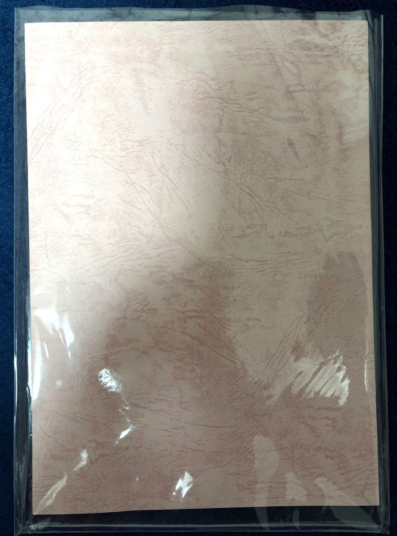 おしえて！ギャル子ちゃん 第1話 サイン入り台本