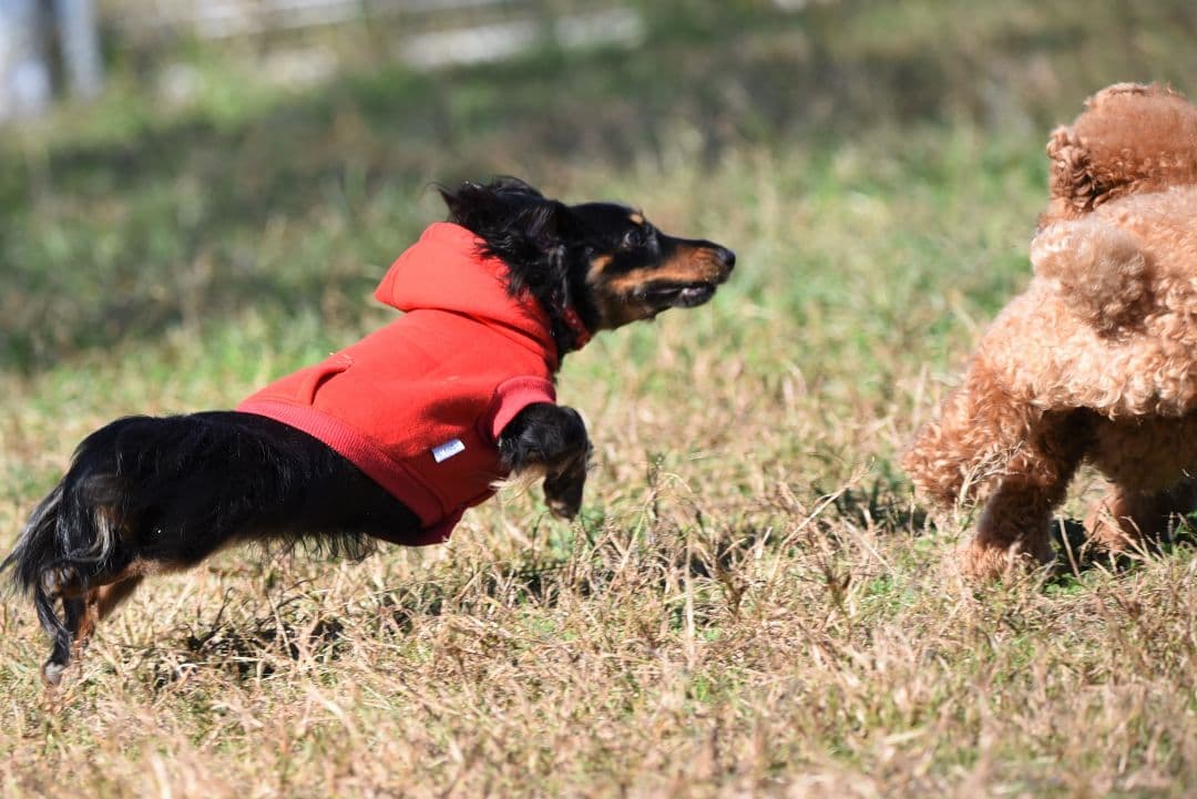 ニコンD750, バッテリーパック、28～300mmズームレンズその他一式